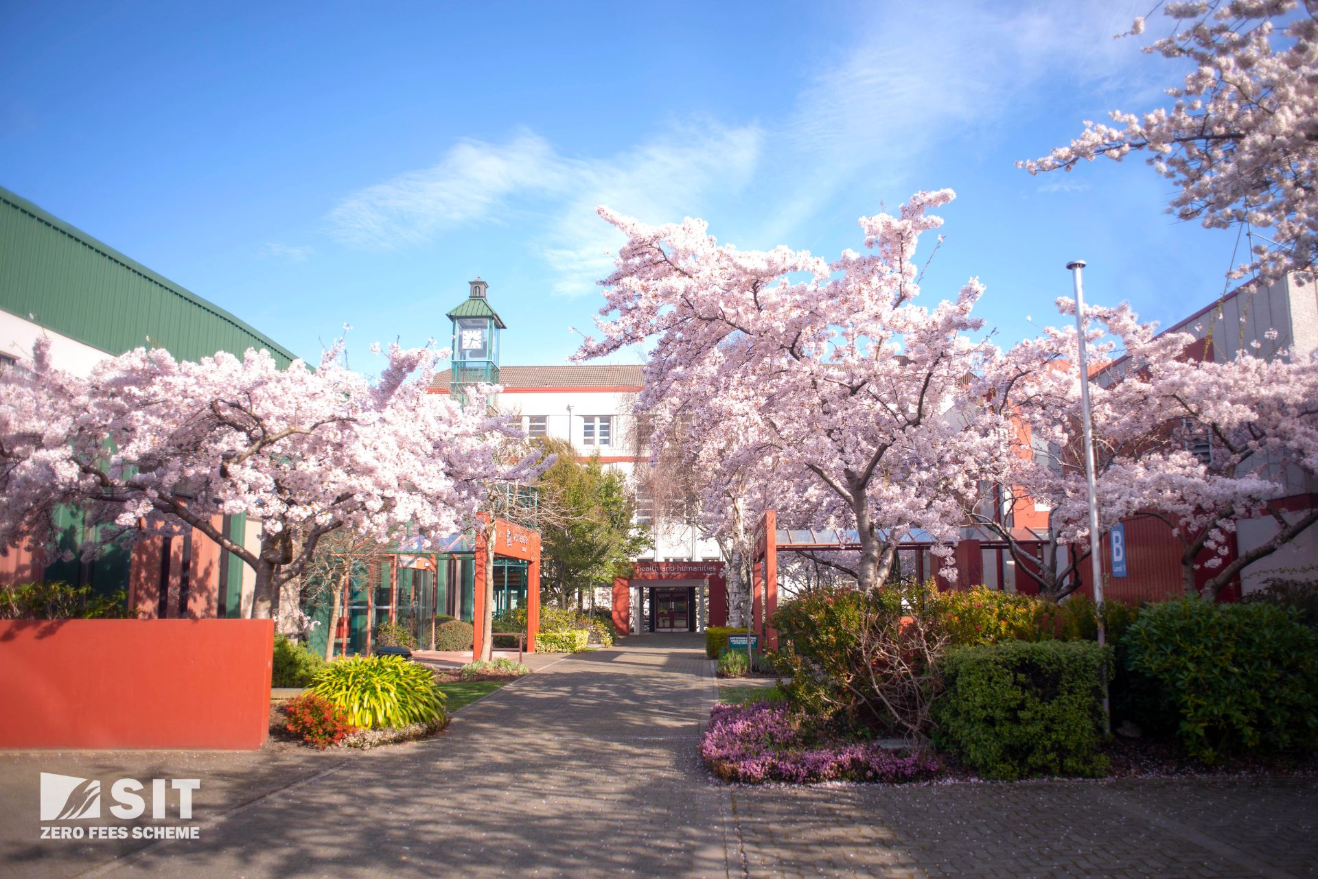 南方理工学院